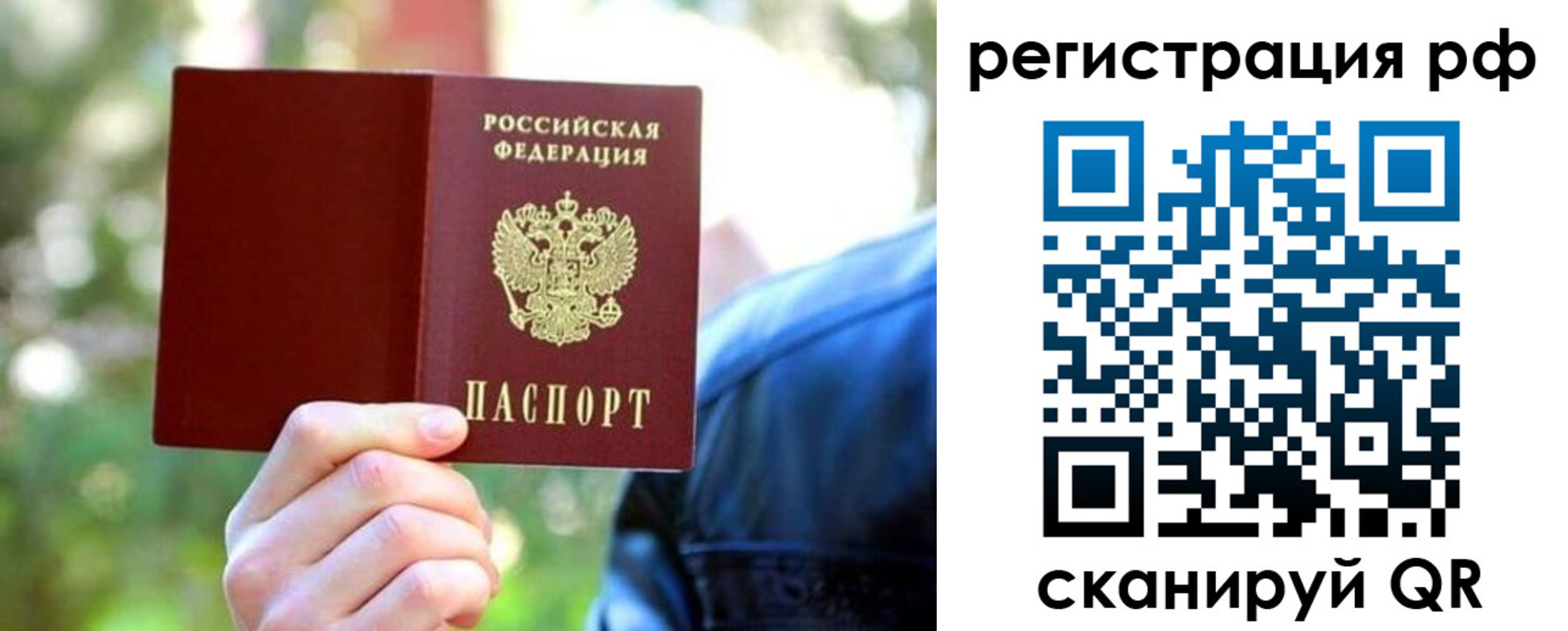 прописка поиск в Светогорске